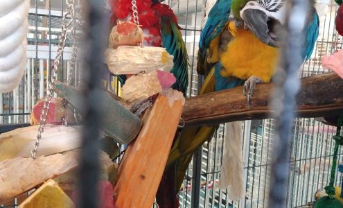 Center For Animal Rehabilitation & Education, Inc.