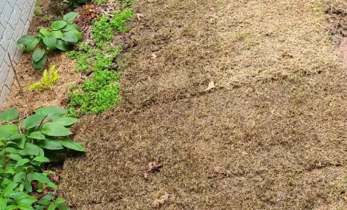 Enterprise Sod & Rock Store