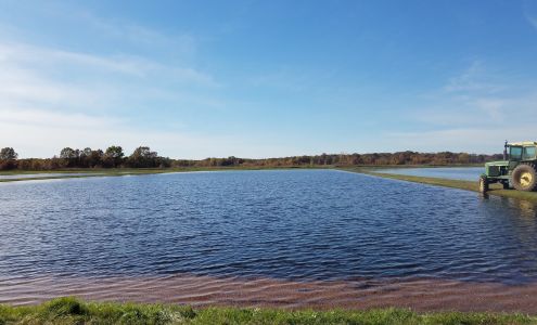 Glacial Lake Cranberries