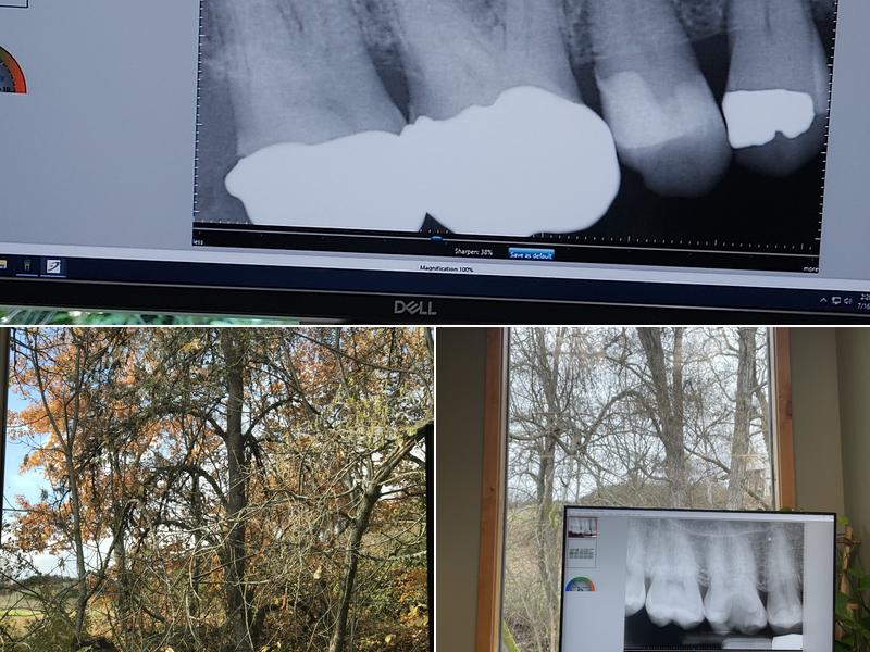 Rogue River Endodontics