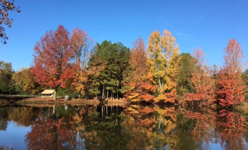 Puddin' Ridge Greers Ferry