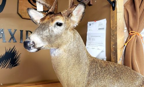 Trophy Tines Taxidermy/ Whitetails Only, Drop off by appointment Centuria