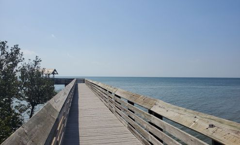 Laguna Madre Nature Trail South Padre Island