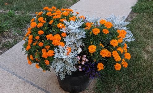 Kim's Kreations 110 N Center Ave, Epworth Iowa 52045