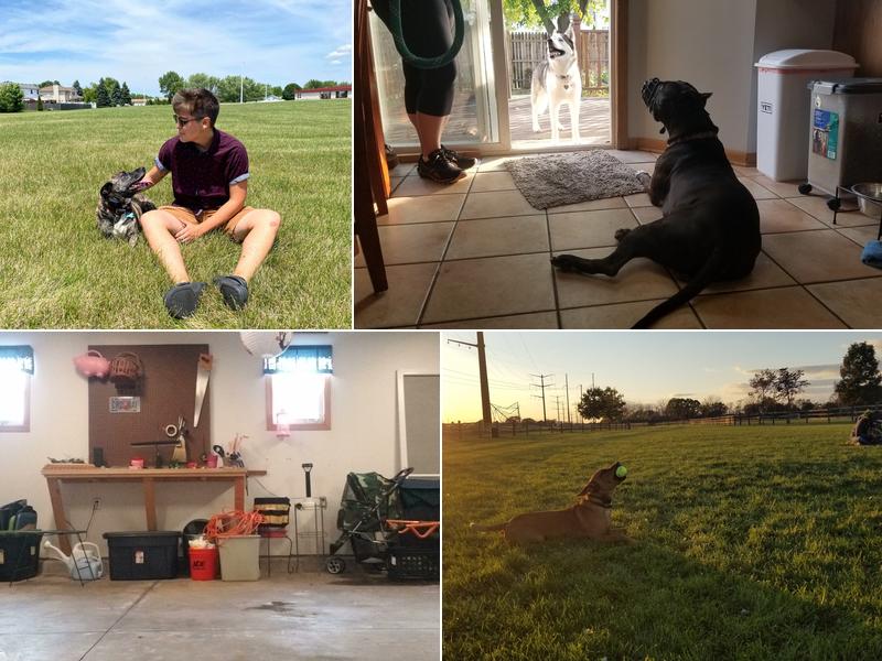 Crooked Paw Dog Training