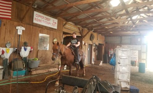 Copper Crest Farm 987 Rose Hill Rd, Wytheville Virginia 24382