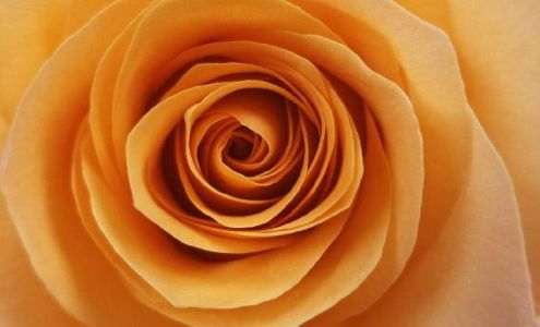 Blooms on Broadway 307 W Broadway St, New Lexington Ohio 43764