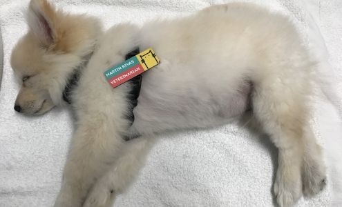 Helpet Veterinary Center