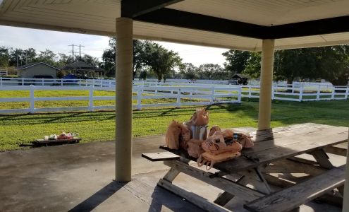 Scott Equine Services