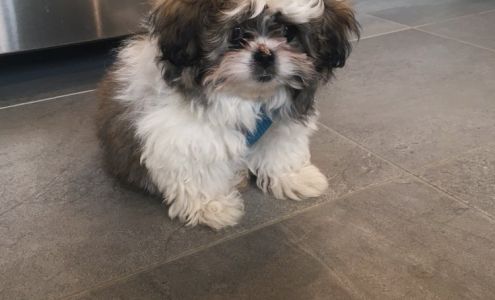 Pekepoo Park 11 Oakwood Ln, Sistersville West Virginia 26175