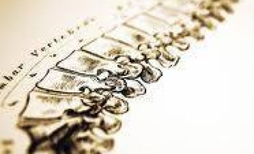 Fults Chiropractic Nederland 721 B Nederland Ave, Nederland Texas 77627