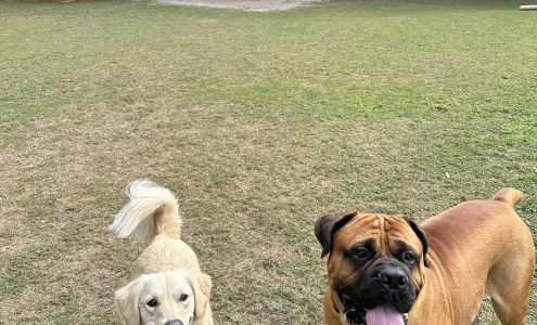 Happy Tails Pet Lodge