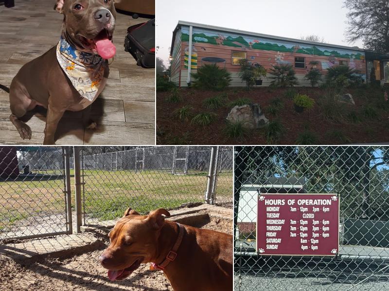 Four Paws Dog Day Camp-Kennel