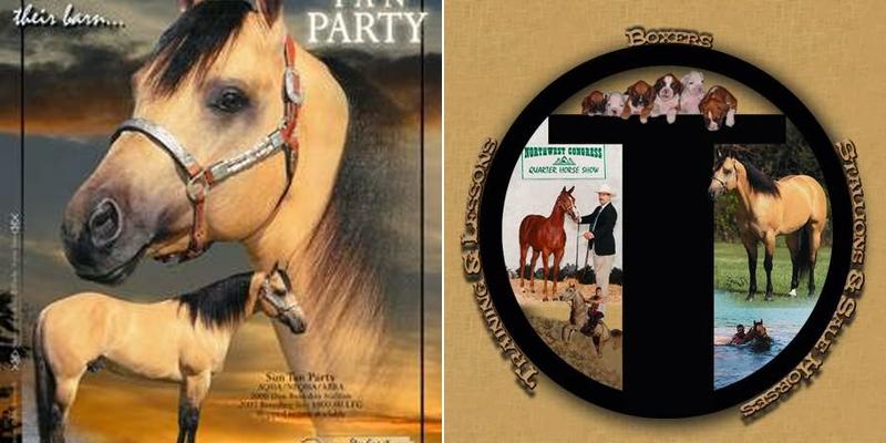 Circle T Training Stables