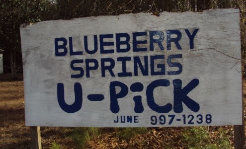 Blueberry Springs Wacissa