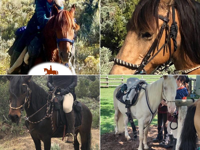 Wind In Your Hair Riding