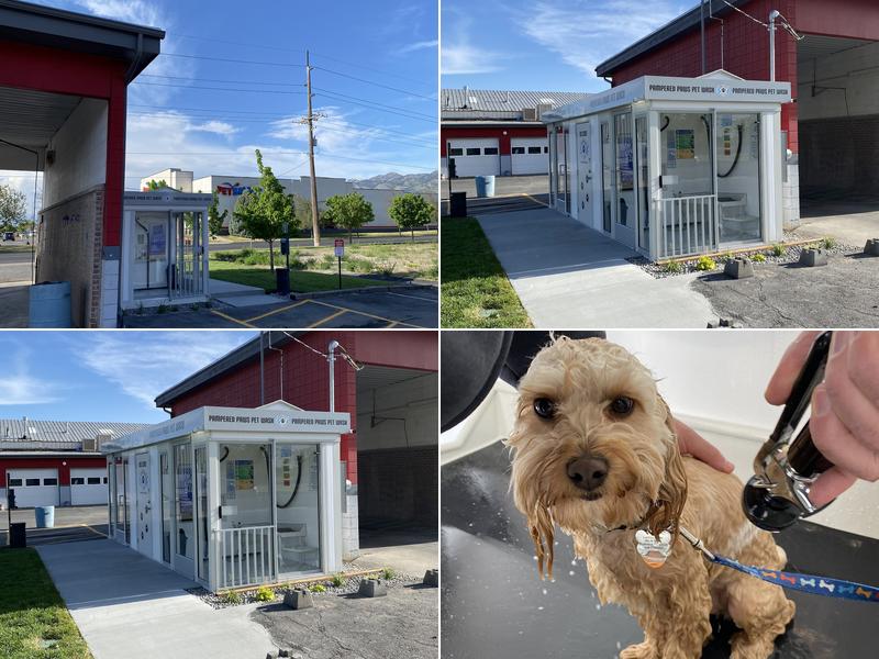 Pampered Paws Pet Wash - Logan