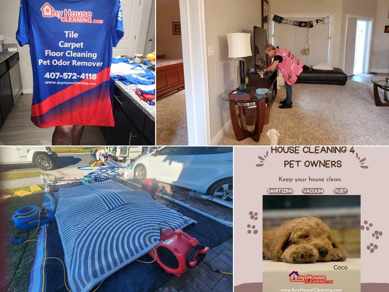 Any House Cleaning Services