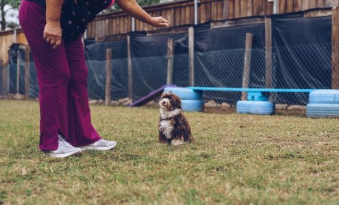Sweet Dreams Dog Boarding