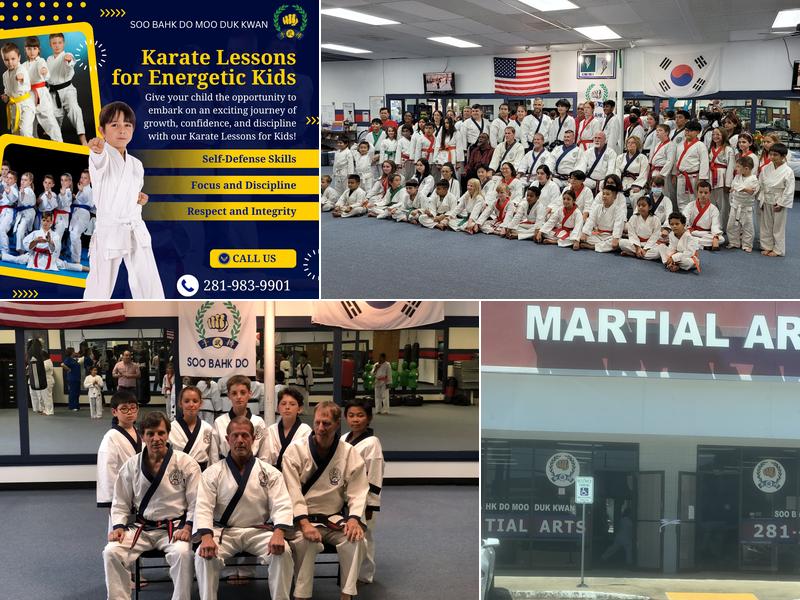 Soo Bahk Do Moo Duk Kwan Houst