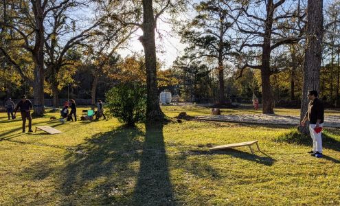 Saratoga Serendipity Saratoga