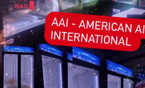 AAI-AMERICAN AIR INTL. INC