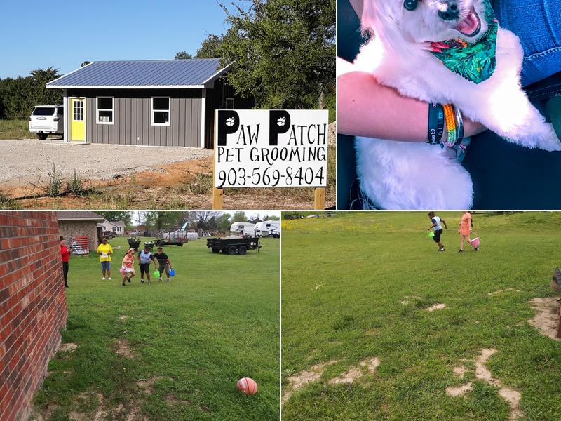 Paw Patch Pet Grooming