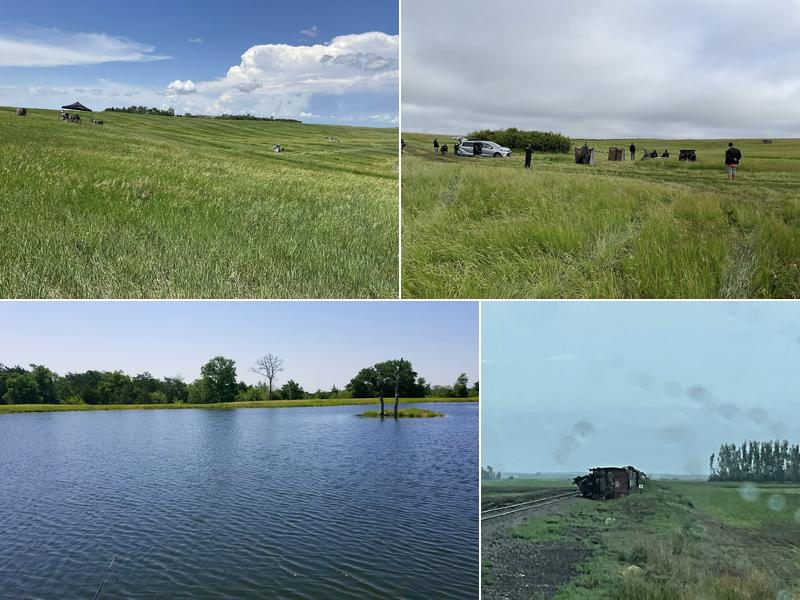 Stellar Retrievers LLC