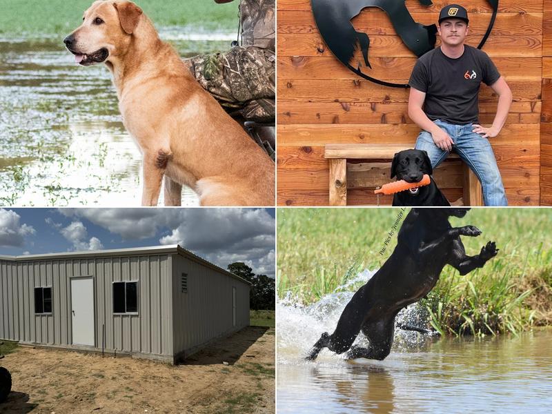 Marsh Dog Kennels