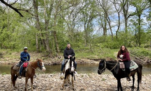 Natchez Trace Stables 6691 Lick Creek Rd, Primm Springs Tennessee 38476