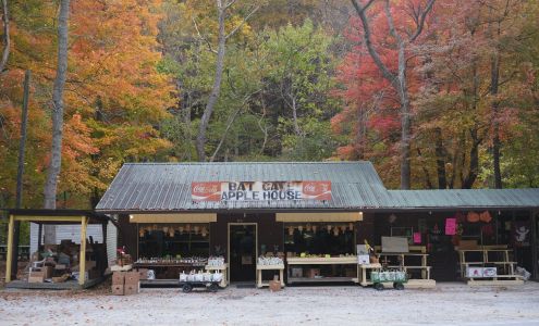 Bat cave apple house