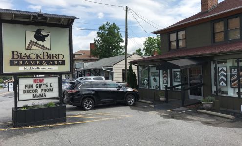 BlackBird Frame & Art