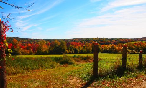 Ashland Farms New Braintree
