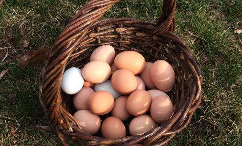 Sunset Valley Farm New Braintree