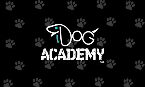 iDog Academy