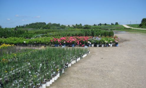 Cross Nurseries Inc