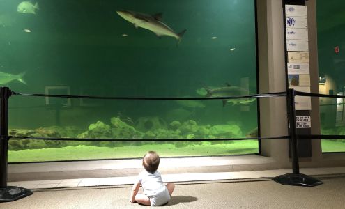 Sea Center Texas Lake Jackson