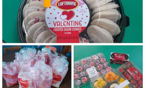 The NEST Day Care Holly Springs