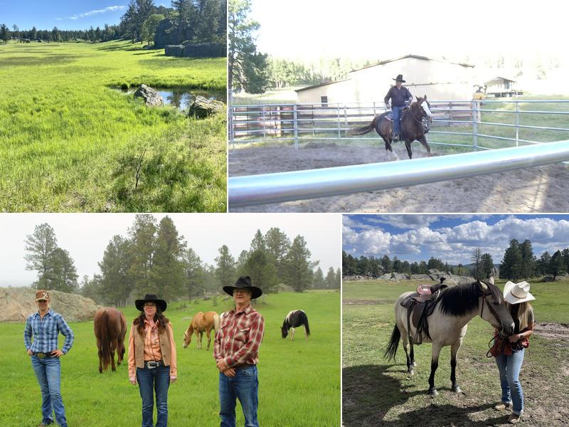 Hollingsworth Horses