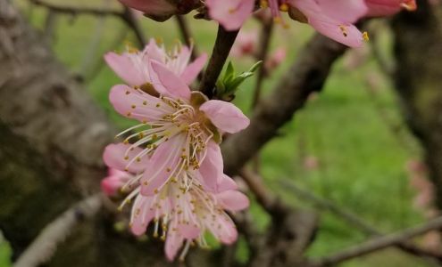 Jerrold A Watson & Sons Pckng Monetta