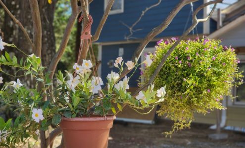 Garden Gate Greenhouse Inc