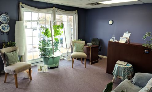 Chiropractic Connection