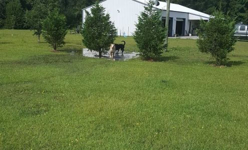 Terren Farm Boarding Kennel