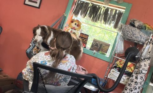 Lisa's Dog Grooming & Boarding 160 1/2 E Friendfield Rd, Coward South Carolina 29530