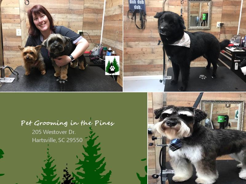 Pet Grooming in the Pines