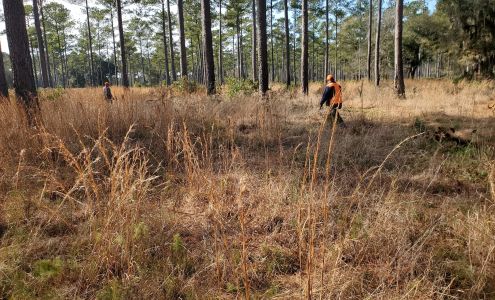 Dorchester Shooting Preserve Midway
