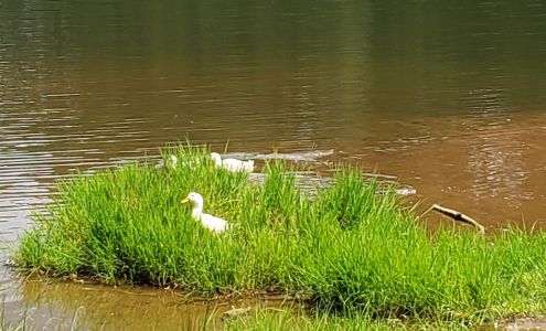 Commerce Recreation Department Commerce