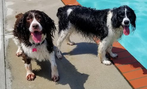 Timber Ridge Pet Resort