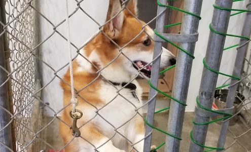 Hound Hollow Boarding Kennel 330 Deer Run Rd, Kutztown Pennsylvania 19530