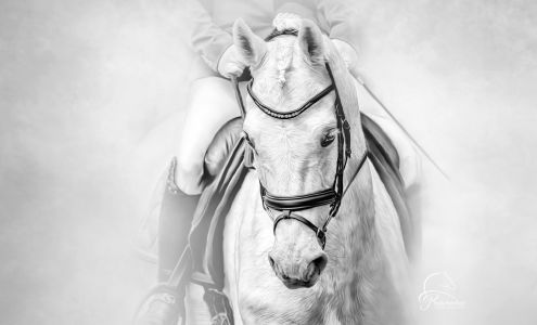 Hill Crest Farm LLC Germansville